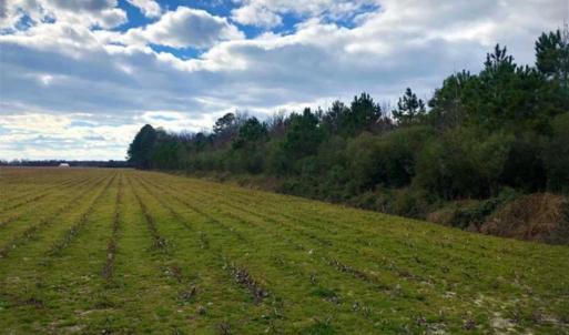 Photo of SOLD!!  12.42 Acres of Land For Sale in Perquimans County NC!