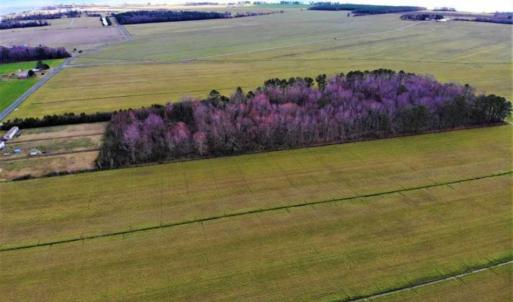 Photo of SOLD!!  12.42 Acres of Land For Sale in Perquimans County NC!