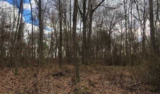 Photo of SOLD!!  12.42 Acres of Land For Sale in Perquimans County NC!