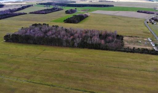 Photo of SOLD!!  12.42 Acres of Land For Sale in Perquimans County NC!