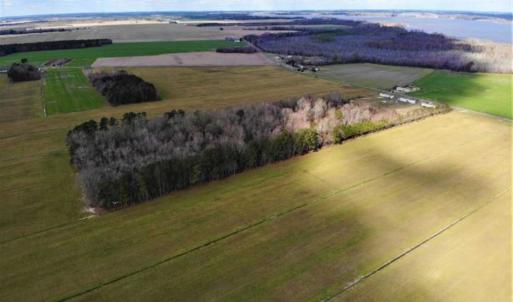 Photo of SOLD!!  12.42 Acres of Land For Sale in Perquimans County NC!