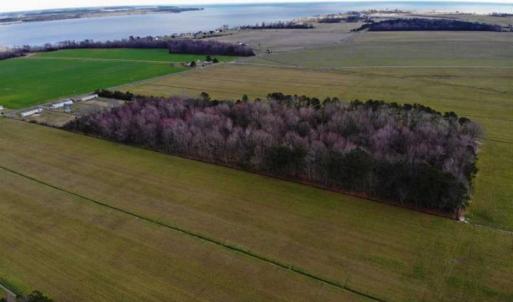 Photo of SOLD!!  12.42 Acres of Land For Sale in Perquimans County NC!