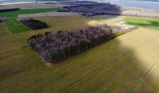 Photo of SOLD!!  12.42 Acres of Land For Sale in Perquimans County NC!