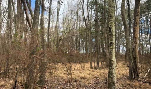 Photo of SOLD!!  12.42 Acres of Land For Sale in Perquimans County NC!
