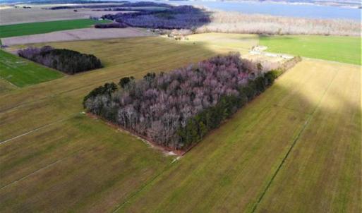 Photo of SOLD!!  12.42 Acres of Land For Sale in Perquimans County NC!