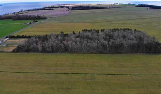 Photo of SOLD!!  12.42 Acres of Land For Sale in Perquimans County NC!