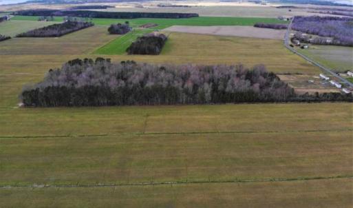 Photo of SOLD!!  12.42 Acres of Land For Sale in Perquimans County NC!