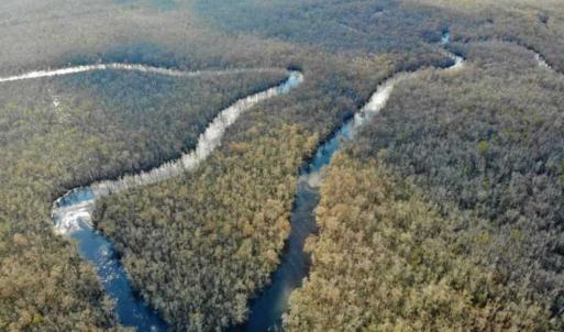 Photo of SOLD!!  166 Acres of Waterfront Hunting Land For Sale in Gates County NC!