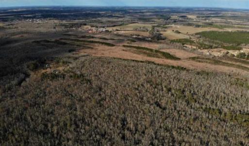 Photo of SOLD!!  166 Acres of Waterfront Hunting Land For Sale in Gates County NC!