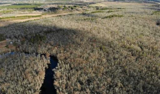 Photo of SOLD!!  166 Acres of Waterfront Hunting Land For Sale in Gates County NC!
