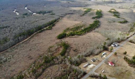 Photo of SOLD!!  166 Acres of Waterfront Hunting Land For Sale in Gates County NC!