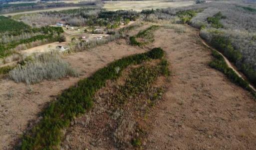 Photo of SOLD!!  166 Acres of Waterfront Hunting Land For Sale in Gates County NC!