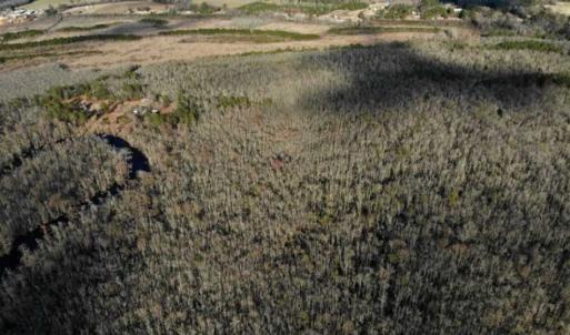Photo of SOLD!!  166 Acres of Waterfront Hunting Land For Sale in Gates County NC!
