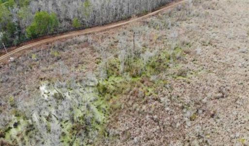 Photo of SOLD!!  166 Acres of Waterfront Hunting Land For Sale in Gates County NC!