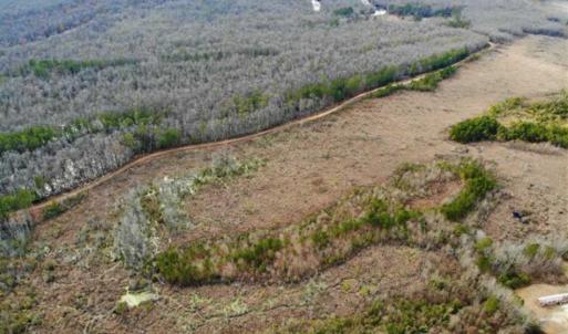 Photo of SOLD!!  166 Acres of Waterfront Hunting Land For Sale in Gates County NC!