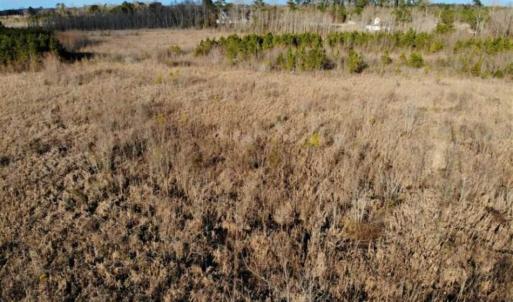 Photo of SOLD!!  166 Acres of Waterfront Hunting Land For Sale in Gates County NC!