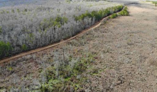 Photo of SOLD!!  166 Acres of Waterfront Hunting Land For Sale in Gates County NC!