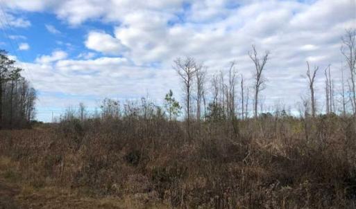 Photo of SOLD!!  166 Acres of Waterfront Hunting Land For Sale in Gates County NC!