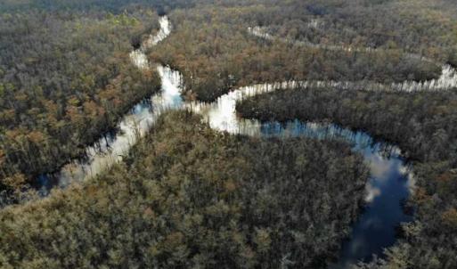 Photo of SOLD!!  166 Acres of Waterfront Hunting Land For Sale in Gates County NC!
