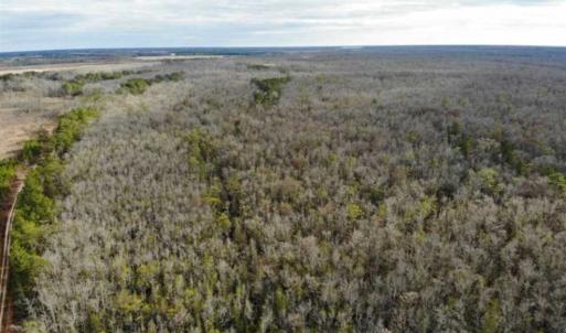 Photo of SOLD!!  166 Acres of Waterfront Hunting Land For Sale in Gates County NC!