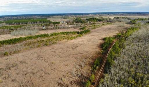 Photo of SOLD!!  166 Acres of Waterfront Hunting Land For Sale in Gates County NC!