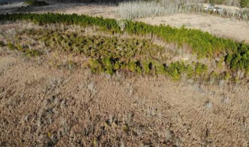 Photo of SOLD!!  166 Acres of Waterfront Hunting Land For Sale in Gates County NC!