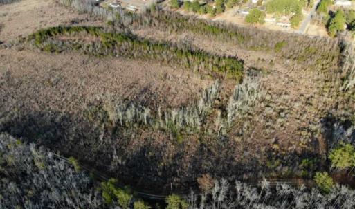 Photo of SOLD!!  166 Acres of Waterfront Hunting Land For Sale in Gates County NC!