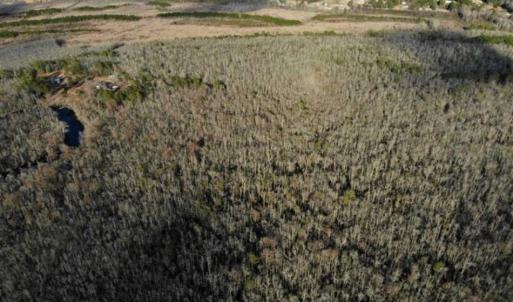 Photo of SOLD!!  166 Acres of Waterfront Hunting Land For Sale in Gates County NC!