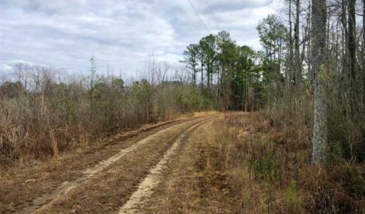 Photo of SOLD!!  166 Acres of Waterfront Hunting Land For Sale in Gates County NC!