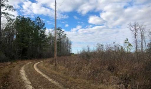 Photo of SOLD!!  166 Acres of Waterfront Hunting Land For Sale in Gates County NC!