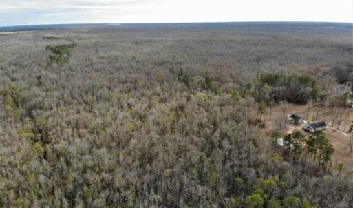 Photo of SOLD!!  166 Acres of Waterfront Hunting Land For Sale in Gates County NC!