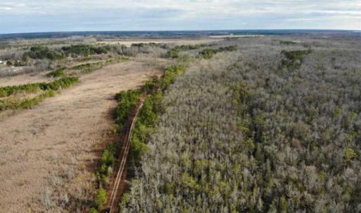 Photo of SOLD!!  166 Acres of Waterfront Hunting Land For Sale in Gates County NC!