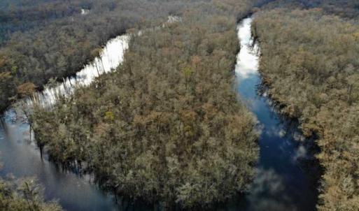Photo of SOLD!!  166 Acres of Waterfront Hunting Land For Sale in Gates County NC!