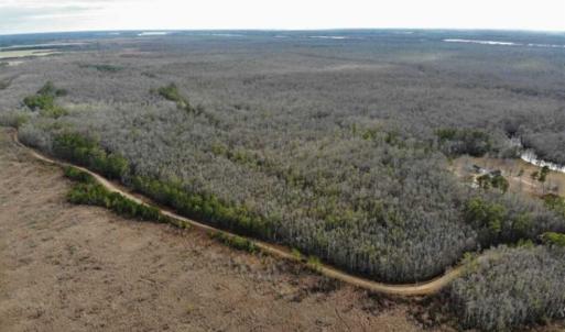 Photo of SOLD!!  166 Acres of Waterfront Hunting Land For Sale in Gates County NC!