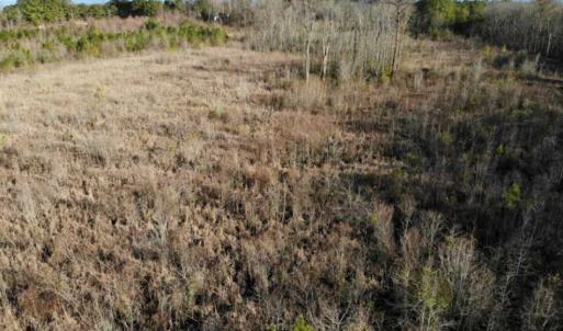 Photo of SOLD!!  166 Acres of Waterfront Hunting Land For Sale in Gates County NC!
