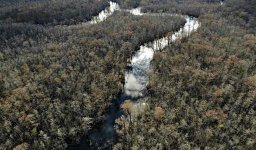 Photo of SOLD!!  166 Acres of Waterfront Hunting Land For Sale in Gates County NC!