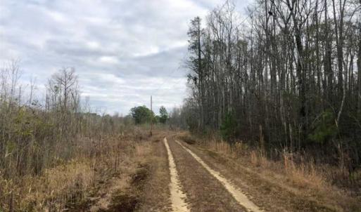 Photo of SOLD!!  166 Acres of Waterfront Hunting Land For Sale in Gates County NC!