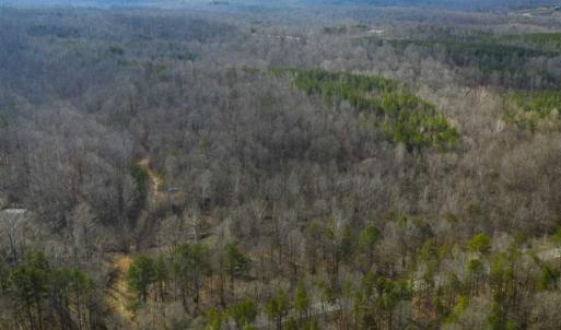 Photo of SOLD!!  44.70 Acres of Multi-Use Land For Sale in Caswell County NC!