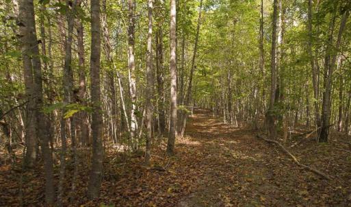 Photo of SOLD!!  44.70 Acres of Multi-Use Land For Sale in Caswell County NC!