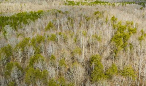 Photo of SOLD!!  44.70 Acres of Multi-Use Land For Sale in Caswell County NC!