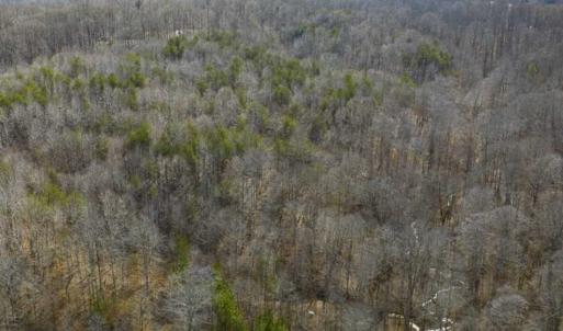 Photo of SOLD!!  44.70 Acres of Multi-Use Land For Sale in Caswell County NC!