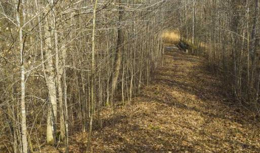 Photo of SOLD!!  44.70 Acres of Multi-Use Land For Sale in Caswell County NC!