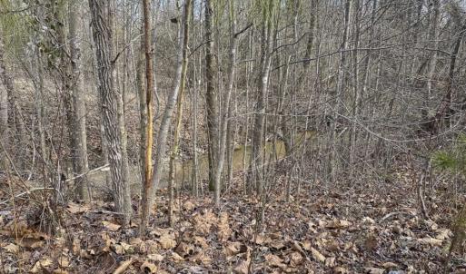 Photo of SOLD!!  44.70 Acres of Multi-Use Land For Sale in Caswell County NC!