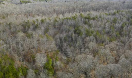Photo of SOLD!!  44.70 Acres of Multi-Use Land For Sale in Caswell County NC!