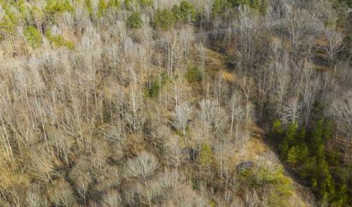 Photo of SOLD!!  44.70 Acres of Multi-Use Land For Sale in Caswell County NC!