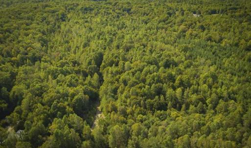 Photo of SOLD!!  44.70 Acres of Multi-Use Land For Sale in Caswell County NC!