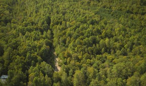 Photo of SOLD!!  44.70 Acres of Multi-Use Land For Sale in Caswell County NC!