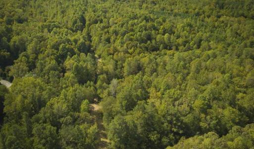 Photo of SOLD!!  44.70 Acres of Multi-Use Land For Sale in Caswell County NC!