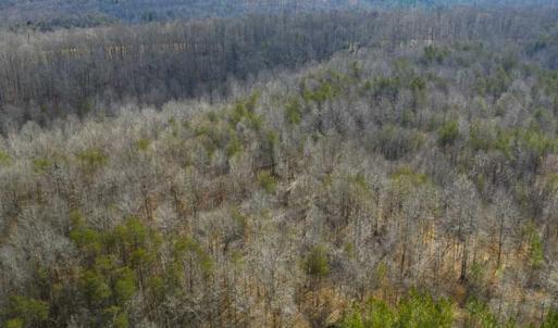 Photo of SOLD!!  44.70 Acres of Multi-Use Land For Sale in Caswell County NC!