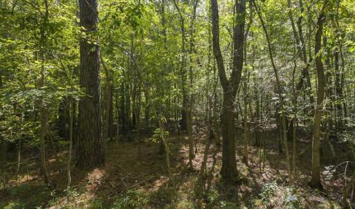 Photo of SOLD!!  44.70 Acres of Multi-Use Land For Sale in Caswell County NC!